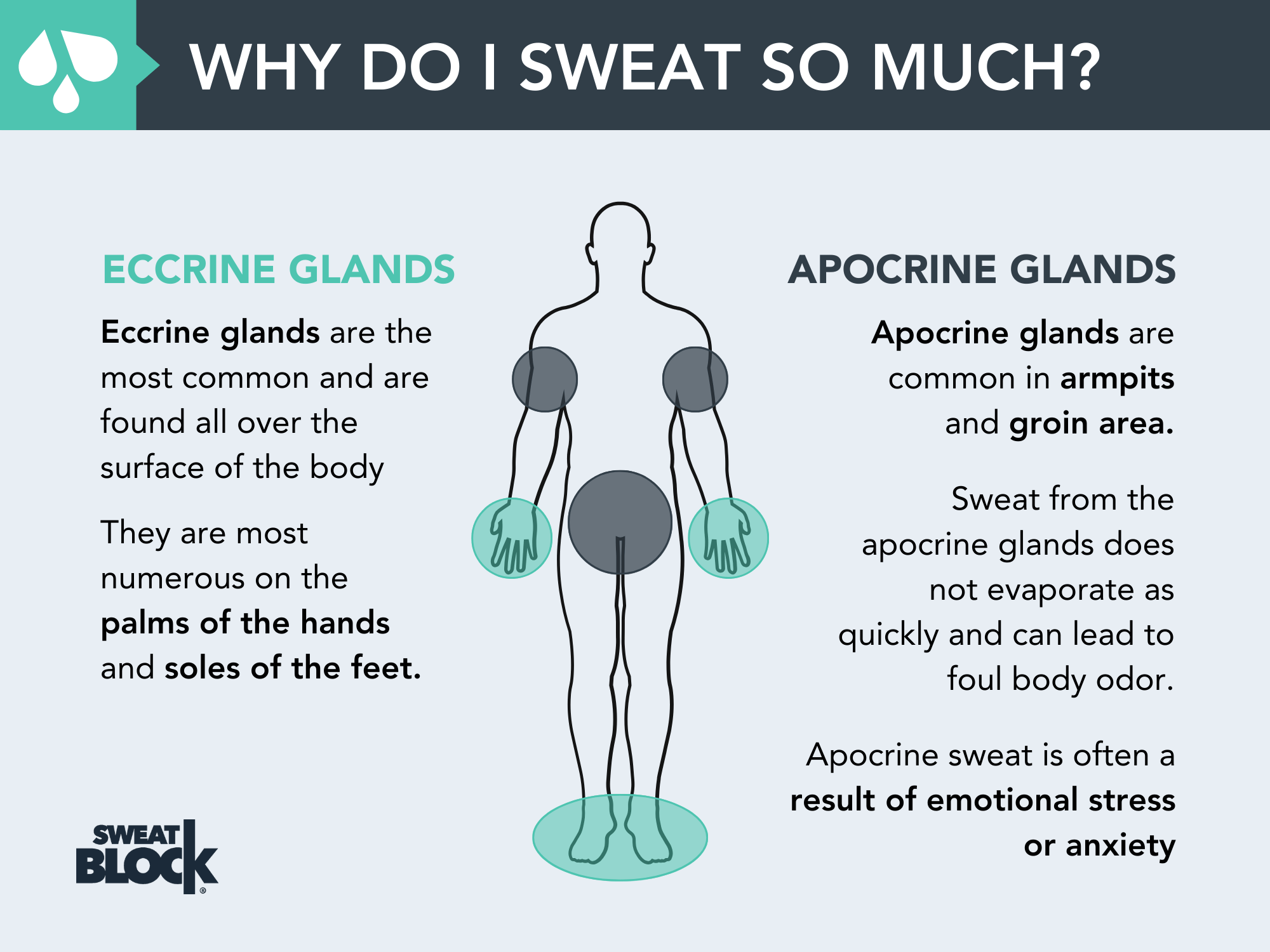 So What Is Sweat, Anyway?.